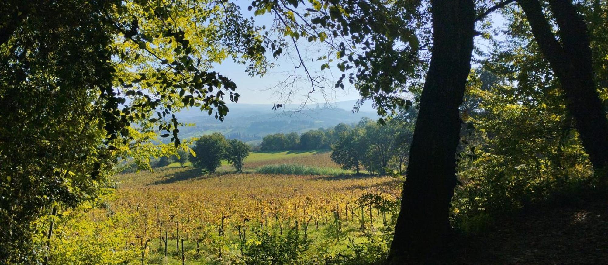 Cielo - Antica Casa Sulla Via Francigena Villa San Gimignano Buitenkant foto